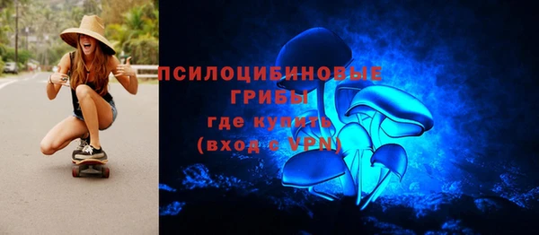 прущие крисы Новозыбков