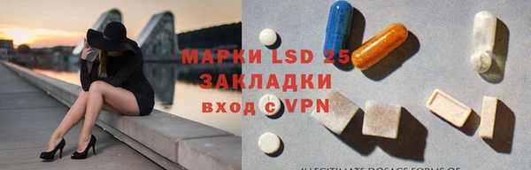 прущие крисы Новозыбков