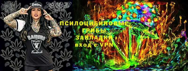 Псилоцибиновые грибы Psilocybine cubensis  Пошехонье 