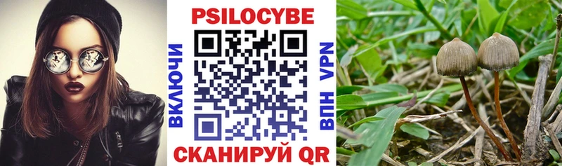 Псилоцибиновые грибы мухоморы купить наркотик Пошехонье
