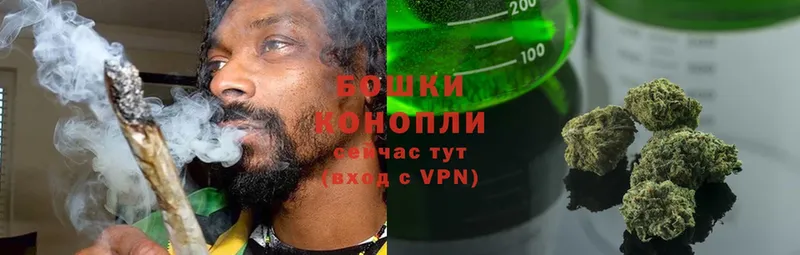 где можно купить   Пошехонье  Бошки марихуана Ganja 