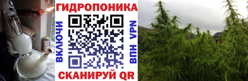Бошки марихуана White Widow  Пошехонье 